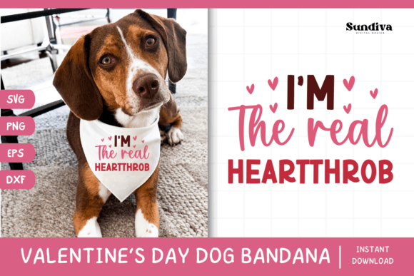 Cute Valentines Day Dog Bandana Quote 12 Graphics
